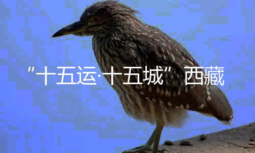 “十五運·十五城”西藏林芝波密站全運花車發(fā)車儀式舉行