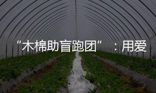 “木棉助盲跑團(tuán)”:用愛陪視障跑者奔赴漢馬賽場