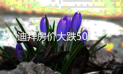 “迪拜房價大跌50%”？不屬實！部分中東家族辦公室已火速赴港，全球投資者的置業(yè)邏輯變了？