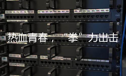 熱血青春，“拳”力出擊 江泰天宇功夫集市青少年搏擊擂臺賽圓滿落幕