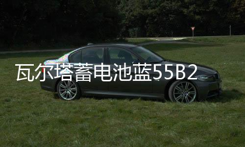 瓦爾塔蓄電池藍(lán)55B24R適配威志威姿森雅熊貓奇瑞Q3汽車(chē)電瓶 藍(lán)標(biāo)