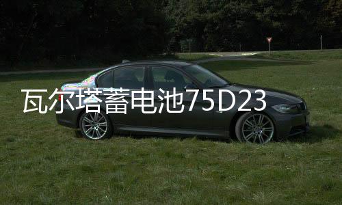 瓦爾塔蓄電池75D23L/65AH/550A/奇駿天籟/翼神雅閣森林人汽車(chē)電瓶