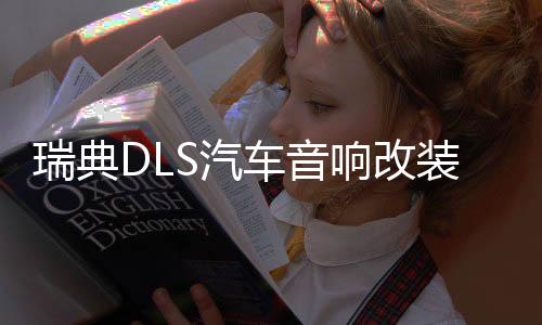 瑞典DLS汽車(chē)音響改裝6.5寸套裝喇叭進(jìn)口發(fā)燒炸街低音喇叭功放主推