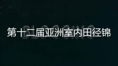 第十二屆亞洲室內(nèi)田徑錦標(biāo)賽收官 中國隊(duì)10金領(lǐng)跑獎(jiǎng)牌榜