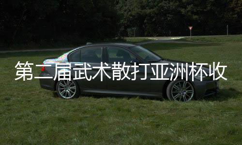 第二屆武術散打亞洲杯收官：中國隊奪9金2銀居榜首