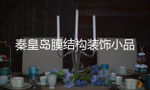 偉晴大健康呼吸機(jī)***安裝