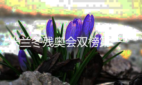 米蘭冬殘奧會雙榜第一 中國殘奧冰雪運動書寫新章