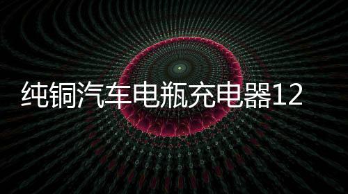 純銅汽車電瓶充電器12V24V伏大功率充電機小車智能通用脈沖修復型