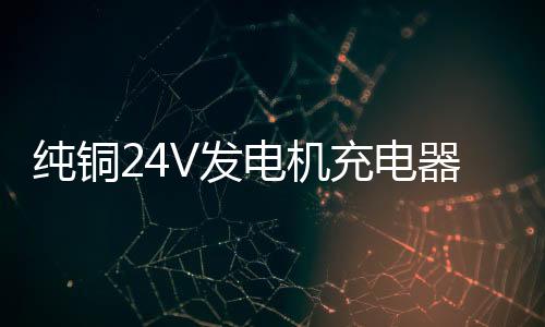 純銅24V發(fā)電機充電器12V叉車貨車通用大功率蓄電池電瓶汽車充電器