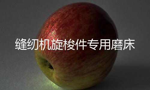 縫紉機(jī)旋梭件專用磨床