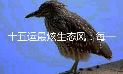 十五運(yùn)最炫生態(tài)風(fēng)：每一頭白海豚，都是游動(dòng)的GDP