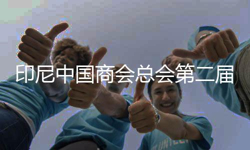 印尼中國商會總會第二屆“聯(lián)通—海豐”杯網(wǎng)球賽在雅加達落幕