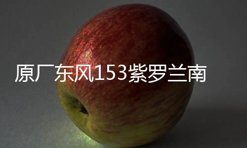 原廠東風(fēng)153紫羅蘭南駿1063小財(cái)神145大運(yùn)嘉龍前大燈總成霧燈總成