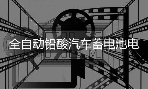 全自動鉛酸汽車蓄電池電瓶充電器12V24V貨車摩托車智能脈沖充電機(jī)