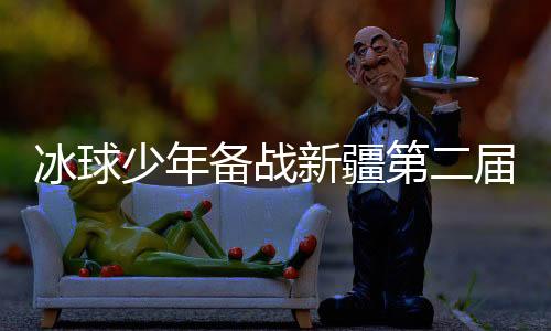 冰球少年備戰(zhàn)新疆第二屆冬運會 中外媒體代表點贊