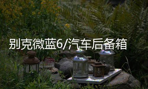別克微藍(lán)6/汽車后備箱改裝專用隔板裝飾隔物板收納配件儲物箱整理