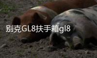 別克GL8扶手箱gl8ES 653T陸尊25s中央儲物手扶箱專用內(nèi)飾改裝配件