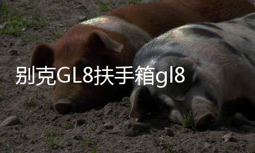 別克GL8扶手箱gl8ES 653T陸尊25s中央儲(chǔ)物手扶箱專(zhuān)用內(nèi)飾改裝配件