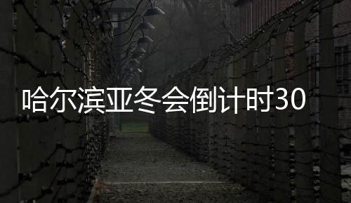 哈爾濱亞冬會倒計(jì)時30天：冰雪同夢，亞洲同心