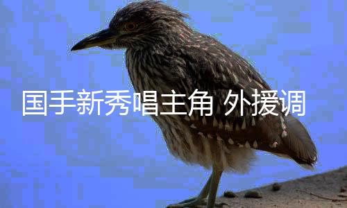 國手新秀唱主角 外援調(diào)整精彩不減——新賽季中國女排超級聯(lián)賽亮點紛呈