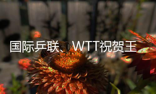 國際乒聯(lián)、WTT祝賀王勵勤當選中國乒協(xié)主席 向劉國梁致謝