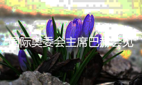 國(guó)際奧委會(huì)主席巴赫會(huì)見“為奧運(yùn)喝彩”藝術(shù)家