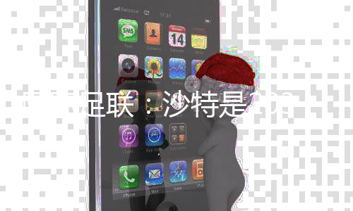 國(guó)際足聯(lián):沙特是2034年足球世界杯唯一申辦方