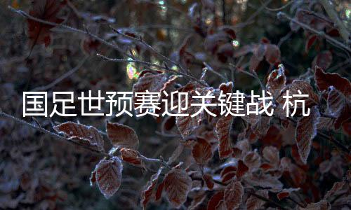 國足世預(yù)賽迎關(guān)鍵戰(zhàn) 杭州主場花式“寵”球迷