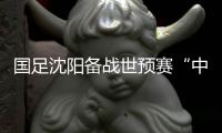國足沈陽備戰(zhàn)世預(yù)賽“中泰之戰(zhàn)” 伊帥:傷病不是前進(jìn)路上的“絆腳石”