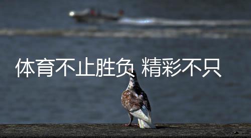 體育不止勝負(fù) 精彩不只金牌！這些動(dòng)人瞬間讓奧林匹克精神具象化