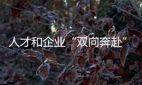 人才和企業(yè)“雙向奔赴”！全國青年職業(yè)技能大賽學生組決賽閉幕