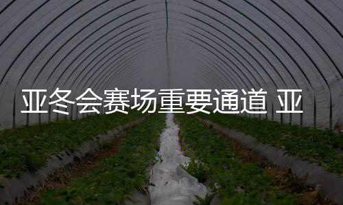 亞冬會(huì)賽場(chǎng)重要通道 亞雪公路改擴(kuò)建工程提前通車