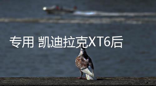 專用 凱迪拉克XT6后備箱網(wǎng)儲物網(wǎng)兜固定行李車載收納尾箱改裝配件