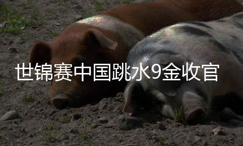 世錦賽中國跳水9金收官 奧運(yùn)項(xiàng)目接連丟冠敲警鐘