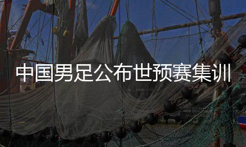 中國(guó)男足公布世預(yù)賽集訓(xùn)名單：阿蘭回歸，張玉寧因傷缺席