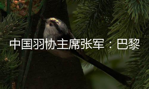 中國羽協(xié)主席張軍：巴黎奧運(yùn)會(huì)爭金奪銀更有信心