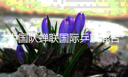 中國隊蟬聯(lián)國際乒聯(lián)混合團體世界杯冠軍