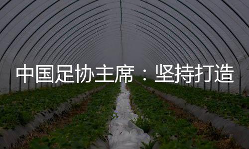 中國(guó)足協(xié)主席：堅(jiān)持打造亞洲一流聯(lián)賽和百年俱樂(lè)部