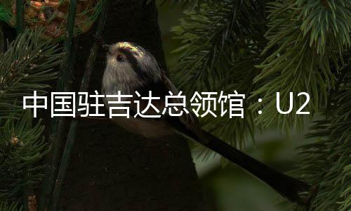 中國(guó)駐吉達(dá)總領(lǐng)館：U23亞洲杯決賽“中國(guó)人免票”為不實(shí)信息