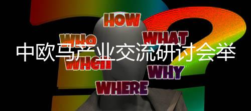 中歐馬產(chǎn)業(yè)交流研討會舉辦 李耀鋒分享馬術(shù)傳承感悟