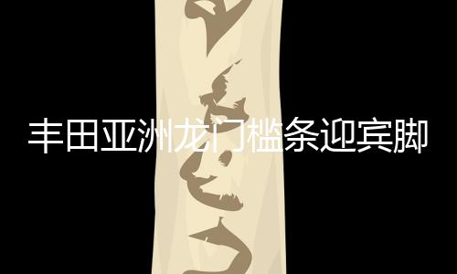 豐田亞洲龍門檻條迎賓腳踏板防踩保護貼車內裝飾汽車用品配件改裝