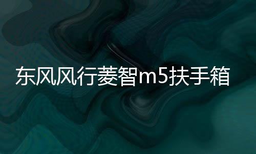 東風(fēng)風(fēng)行菱智m5扶手箱專(zhuān)用2021全車(chē)改裝V3/m5L免打孔車(chē)內(nèi)儲(chǔ)物配件