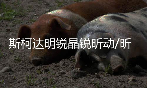 斯柯達(dá)明銳晶銳昕動(dòng)/昕銳/速派原裝60AH駱駝蓄電池L2-400汽車電瓶