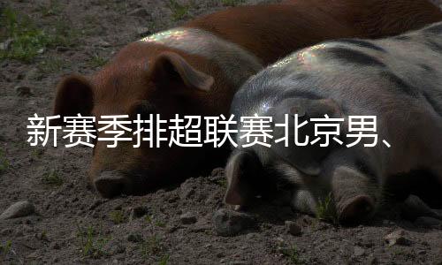 新賽季排超聯(lián)賽北京男、女排回歸主場光彩體育館