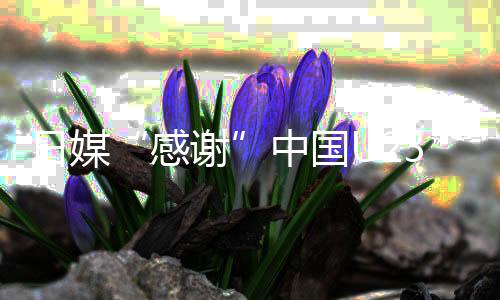 日媒“感謝”中國(guó)U23男足 批己方球員傷人動(dòng)作“丟臉”