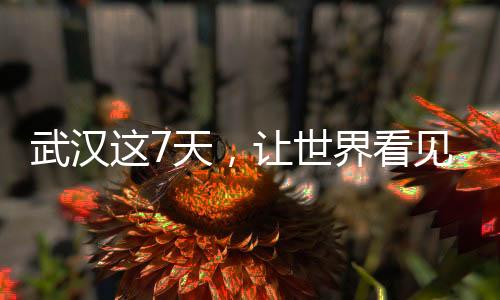 武漢這7天，讓世界看見“無畏金蘭”
