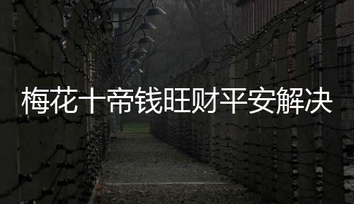 梅花十帝錢(qián)旺財(cái)平安解決橫梁門(mén)對(duì)門(mén)對(duì)陽(yáng)臺(tái)窗戶(hù)家用汽車(chē)中國(guó)結(jié)掛件