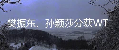 樊振東、孫穎莎分獲WTT重慶冠軍賽男女單打冠軍
