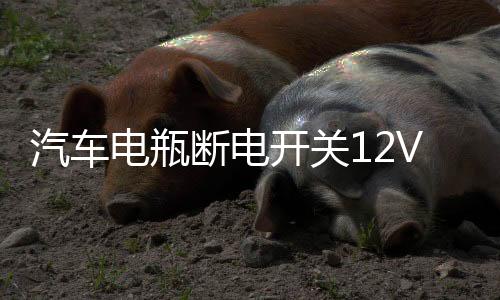 汽車電瓶斷電開關(guān)12V防虧電漏電保護(hù)器智能藍(lán)牙遙控純銅實時監(jiān)控