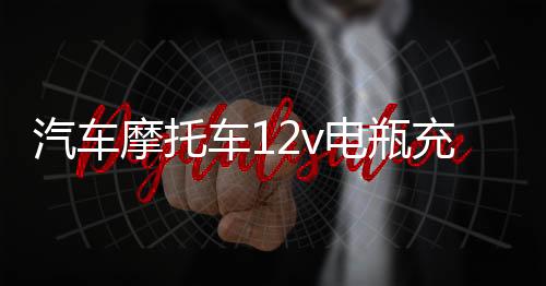 汽車摩托車12v電瓶充電器家用小轎車蓄電池地攤?cè)f能沖快速通用型